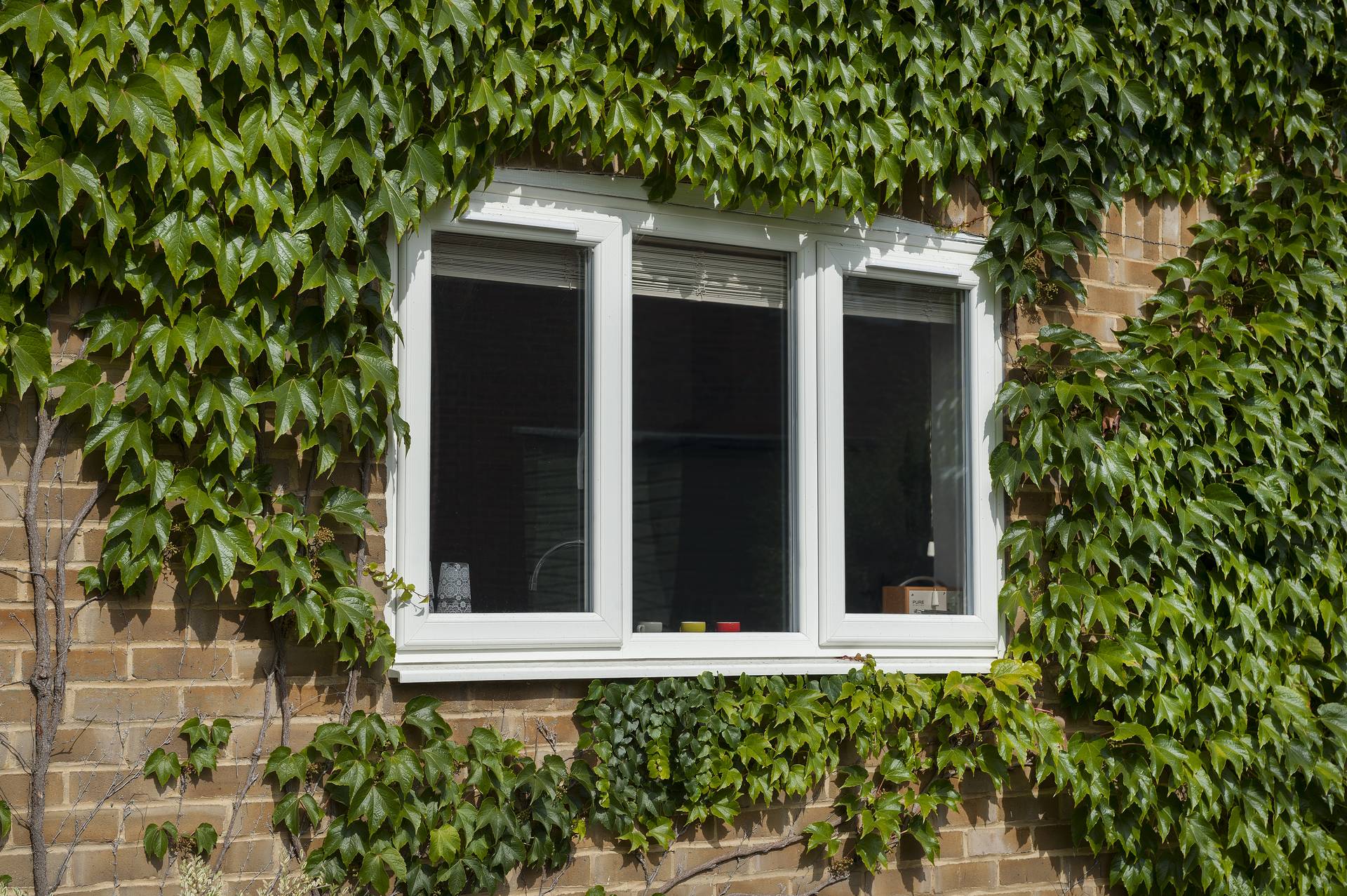 Windows in Cheshire